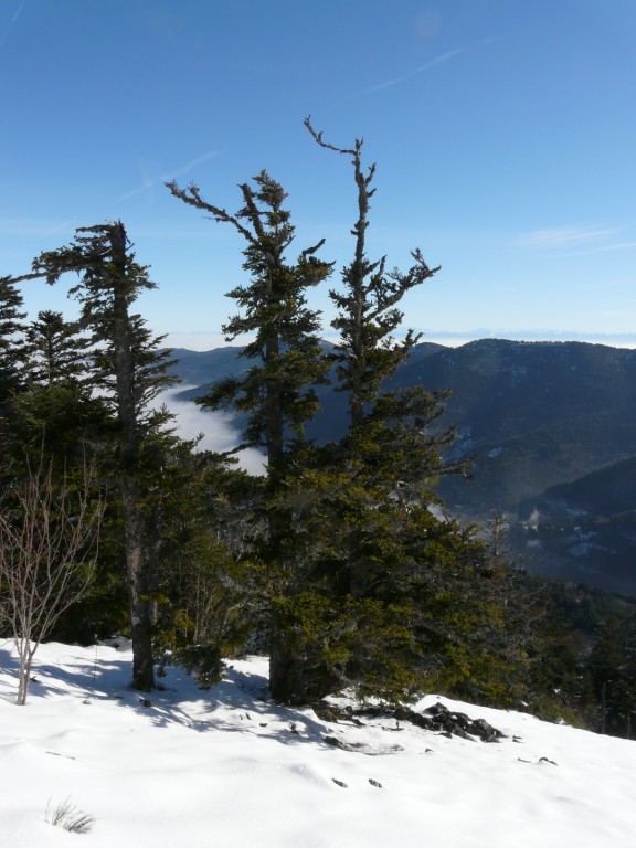 Vue sur l'Ardèche